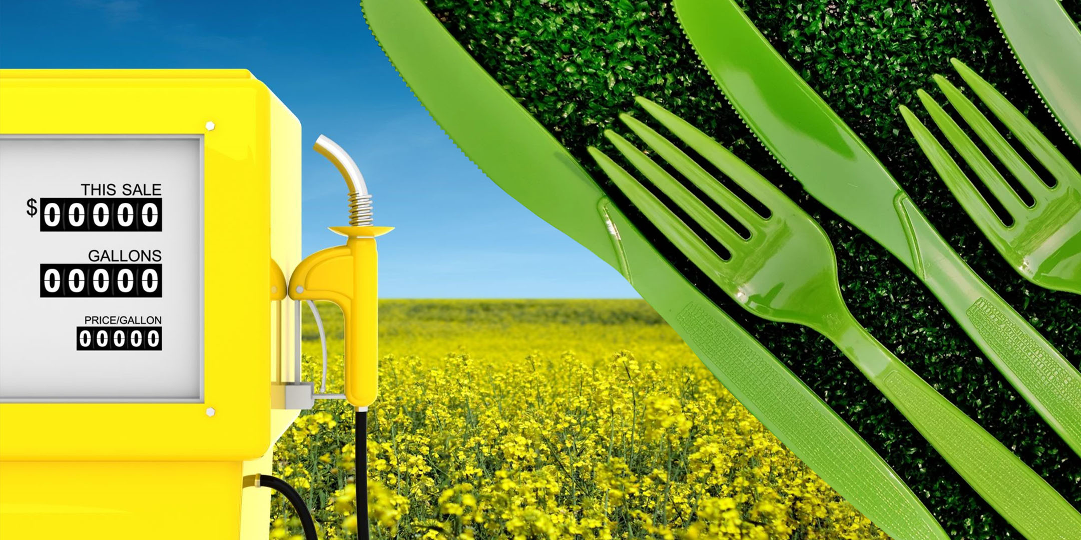 Изображение — bioteh 1405 sajtjpg – FUTUREBY Bioteh 1405 sajtjpg